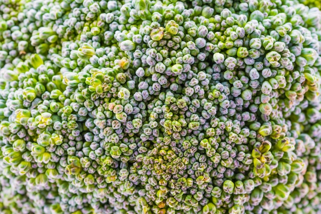 Close up broccoli