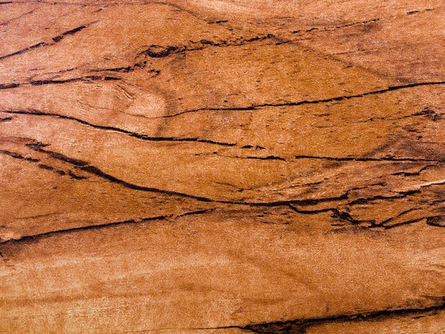 Free photo close-up brown wooden surface