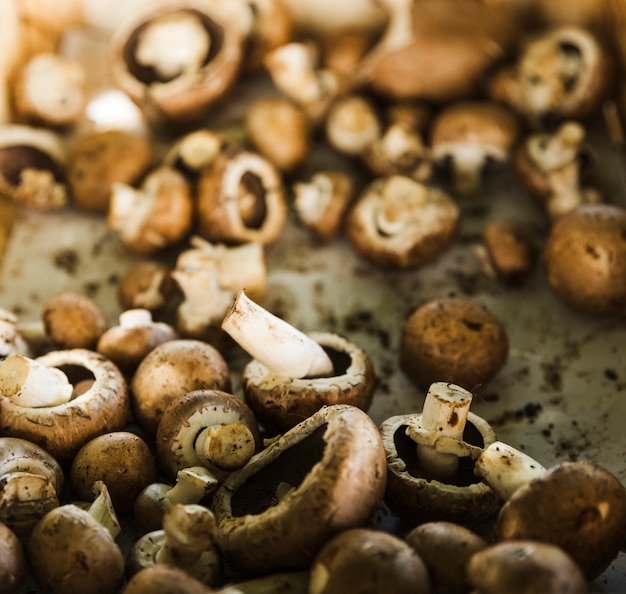 Close-up of button mushroom in market stall for sale