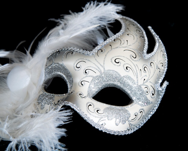 Close-up of carnival mask with feathers