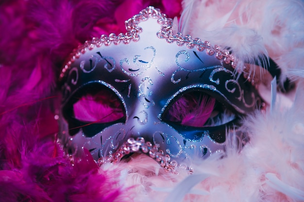 Close-up of carnival venetian mask on soft feathers