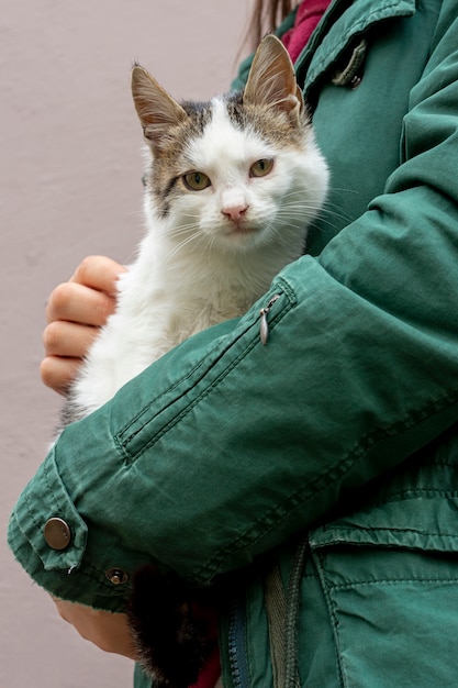 Free Photo close-up cat sitting in owner arms