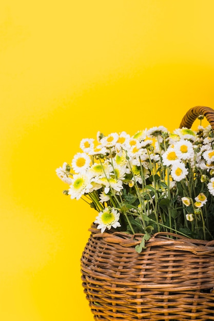 Free photo close-up of chamomiles flowers basket on yellow background