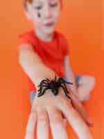 Free photo close-up child holding halloween spider on hand