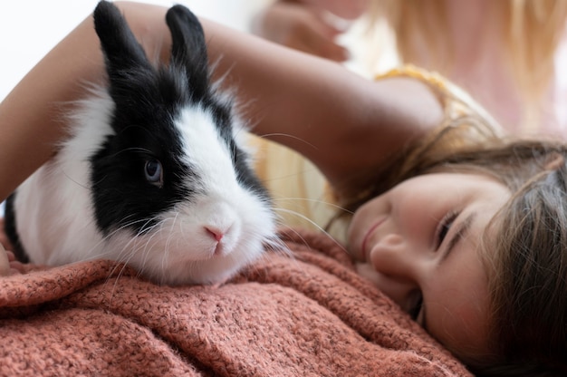 Close up on child playing with rabbit pet