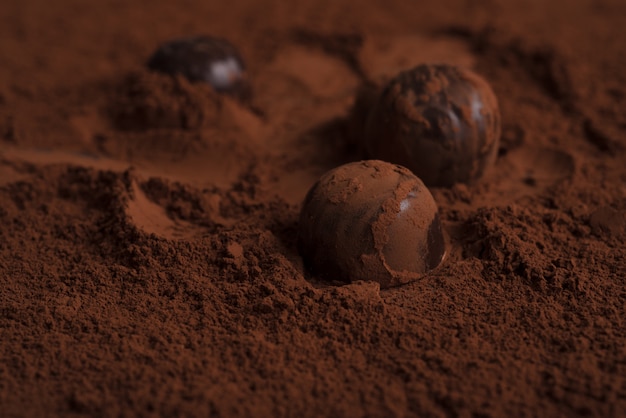 Close-up of chocolate candies over chocolate powder