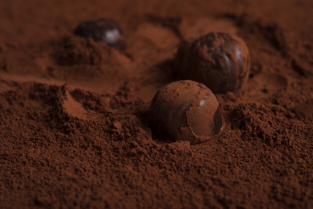 Close-up of chocolate candies over chocolate powder