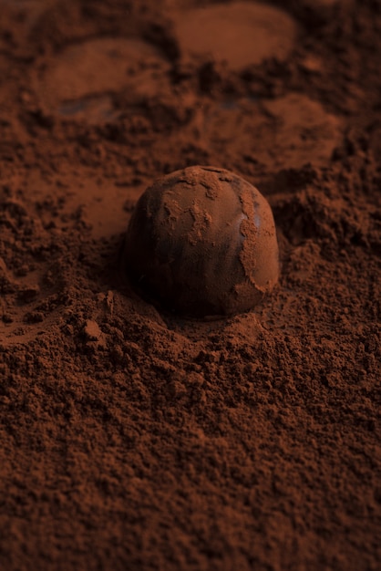 Close-up of chocolate candy over chocolate powder