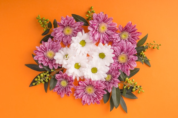 Free photo close-up of chrysanthemum with daisy flowers on an orange background