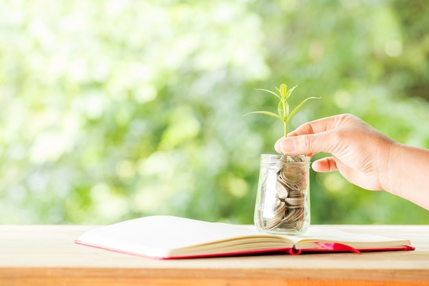 Free photo close-up of a coin jar with a tree