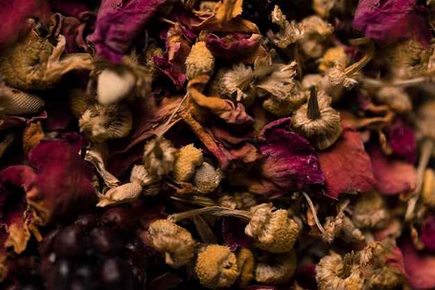 Close-up collection of aromatic flowers