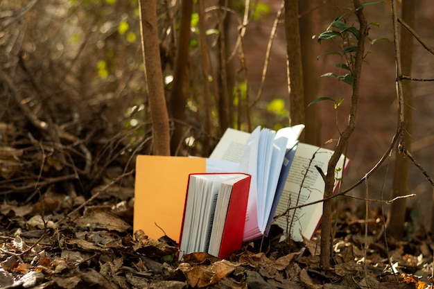 Free photo close up on colorful books pile