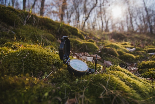 Close-up of compass on the grass