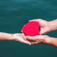 Free photo close-up of a couple's hand holding red heart shape in front of sea