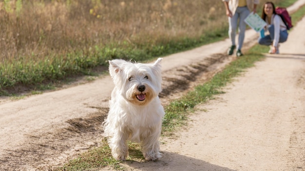 Free Photo close-up couple with dog outdoors