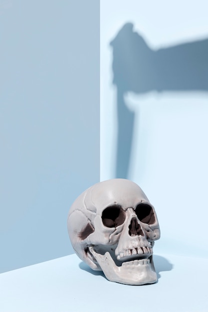 Free Photo close-up creepy halloween skeleton