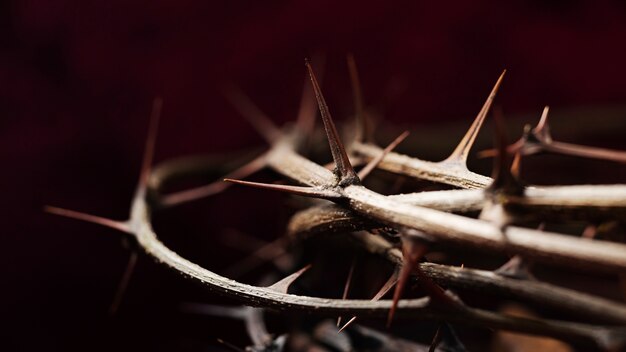 Close up crown of thorns still life