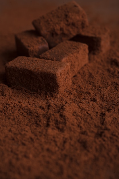 Close-up of dark tasty chocolate candies covered in chocolate powder