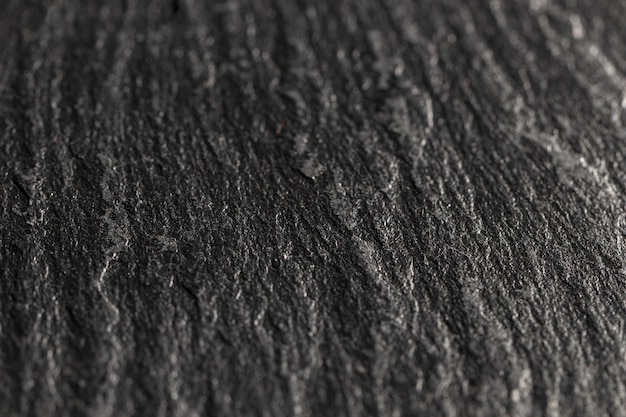 Free Photo close-up dark tree shell