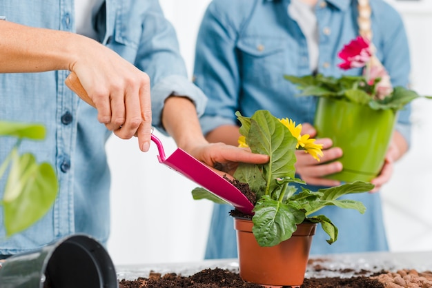 Free Photo close-up daughter helping mom to plant flowers