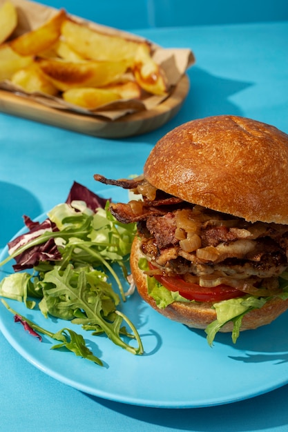 Close up on delicious fast food meal