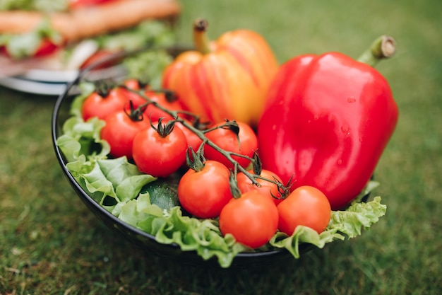 CLose-up of delicious sandwiches with veggies.Bowl of healthy eco veggies on the grass.