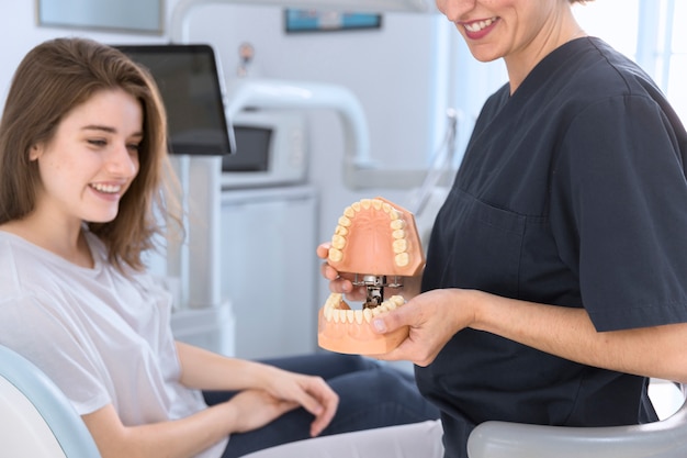 Close-up of a dentist showing teeth model to smiling patient