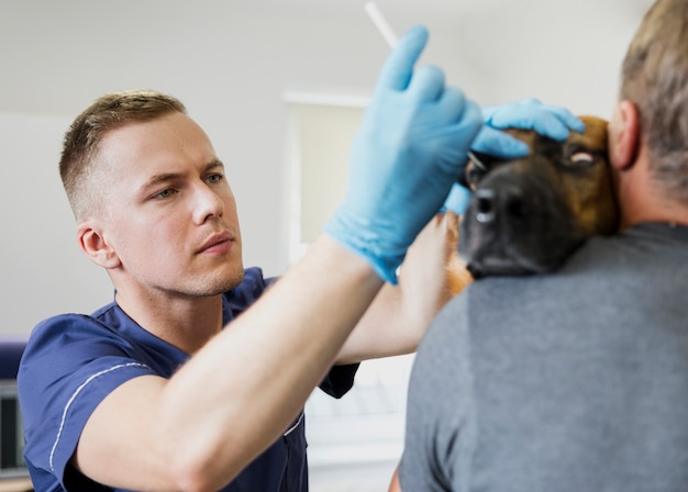 Close-up doctor checking dog's eye