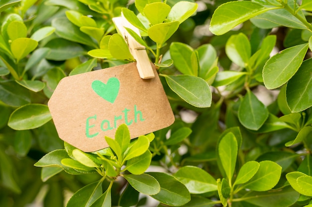 Free Photo close-up earth sign in leaves