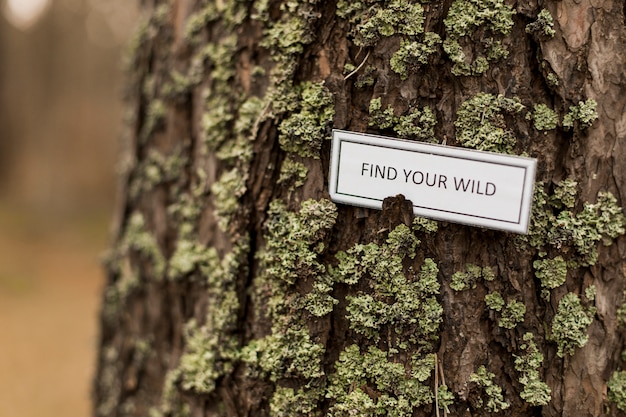 Free photo close-up encouraging writing on tree trunk