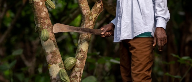 Close up farmer holding machete