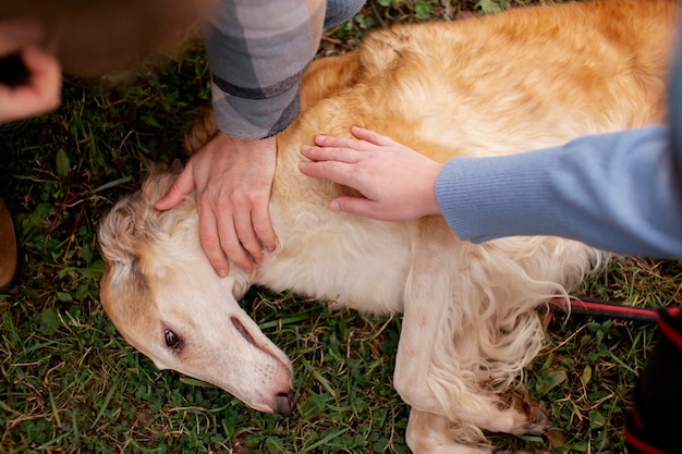 Free Photo close up on farmer spending time with dog