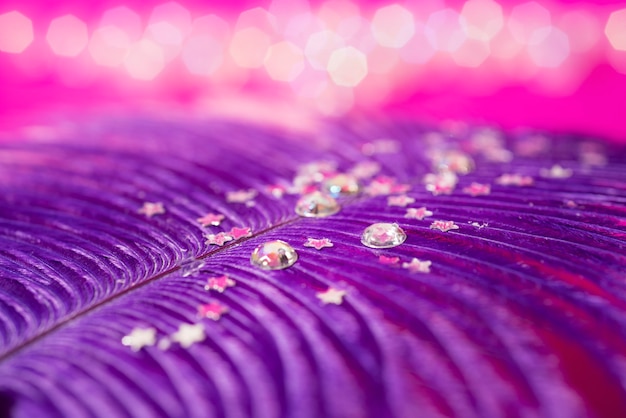 Free photo close up on feather with confetti, sparks and glitter