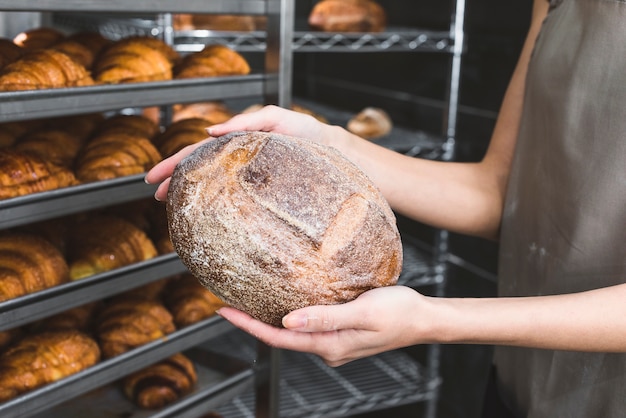 Free photo close-up of female baker holding rustic loaf of bread in front of baked shelves