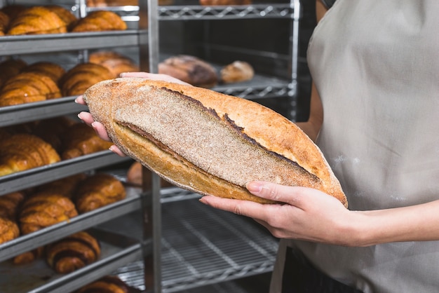 Free photo close-up of a female baker's hand holding whole wheat loaf of bread