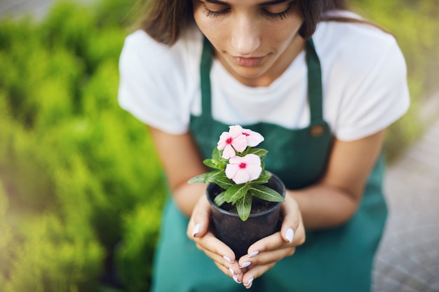 Free photo close-up of female gardener holding a flower in a pot. care concept.