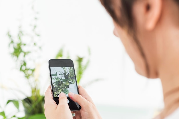 Close-up of a female hand taking photograph of potted plants on cellphone