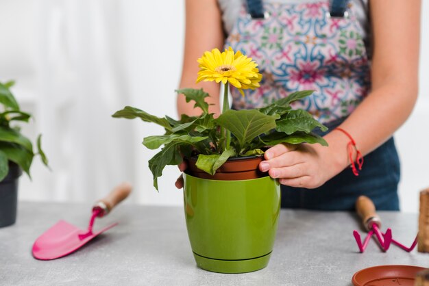 Free photo close-up female planting flowers