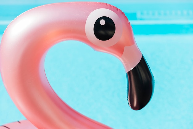 Close-up flamingo swim ring