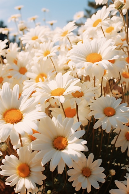 Close up on flower bouquet