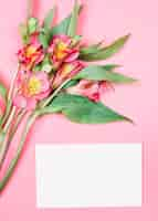 Free photo close-up of fresh beautiful alstroemeria flowers with buds near the blank white card on pink background