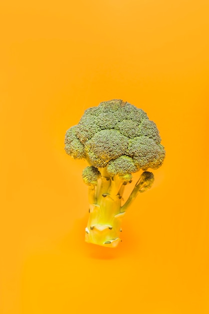 Free photo close-up of a fresh broccoli on orange background