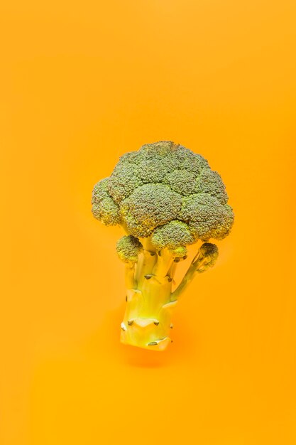 Close-up of a fresh broccoli on orange background