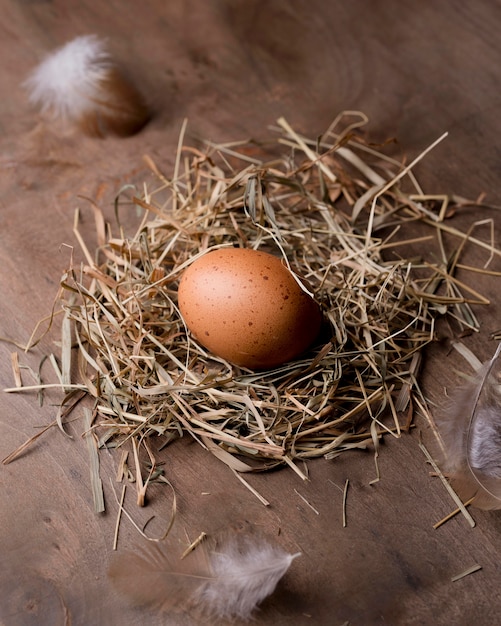 Free photo close-up fresh chicken eggs