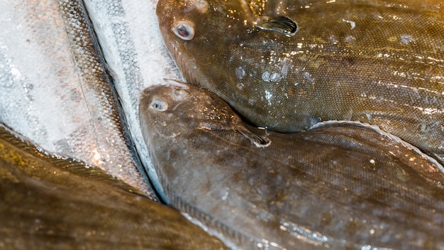 Free Photo close-up of fresh fish stack