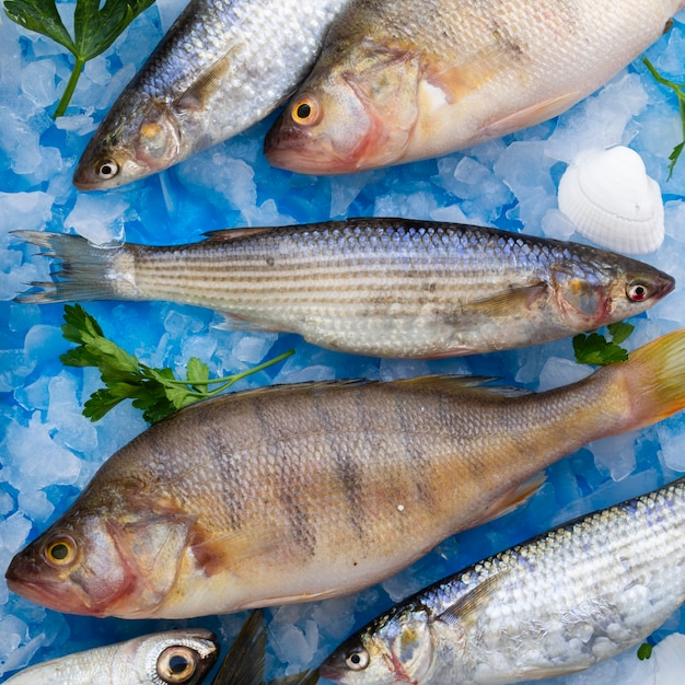 Free photo close-up fresh fishes with gills