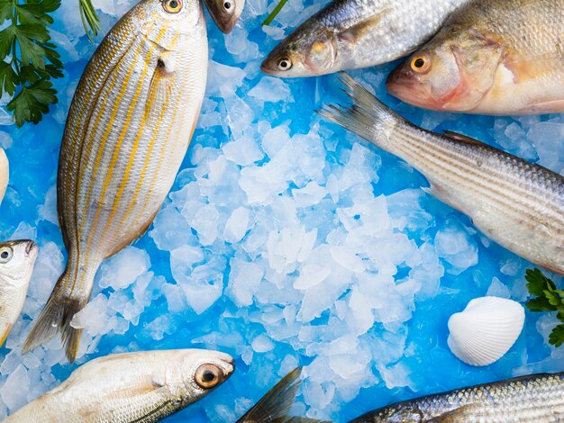 Close-up fresh fishes with ice cubes