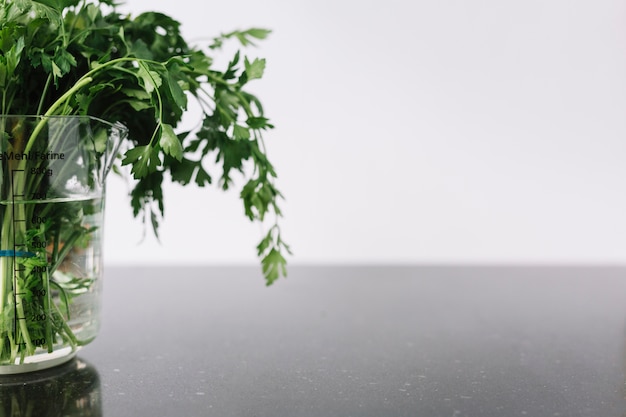 Free Photo close-up of fresh parsley in measuring jar on black surface