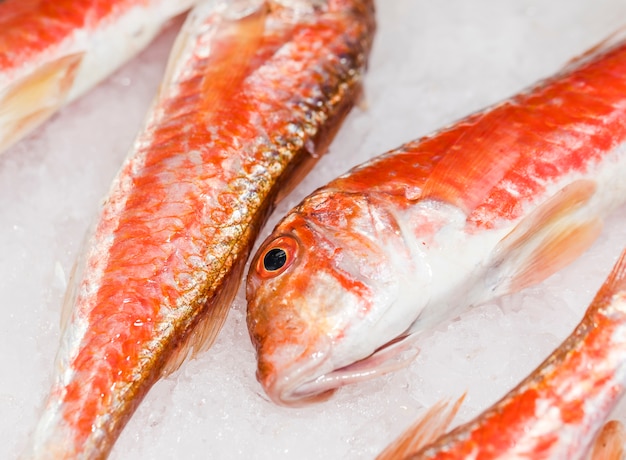 Free Photo close-up of fresh red fish on ice