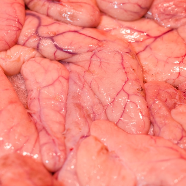 Close-up of freshly cut meat in market